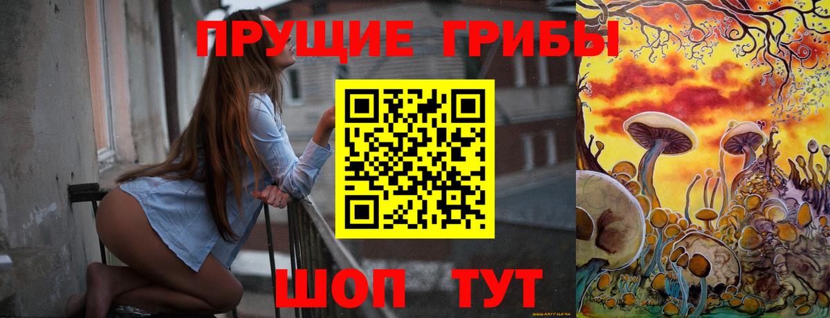 Великий Новгород  Галлюциногенные грибы Magic Shrooms  Вход с VPN 
