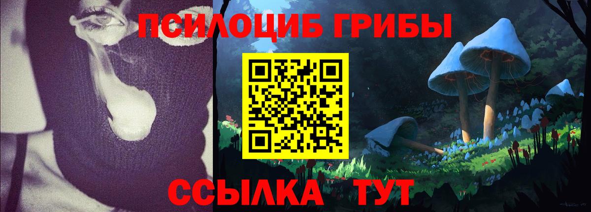 Галлюциногенные грибы мицелий Великий Новгород